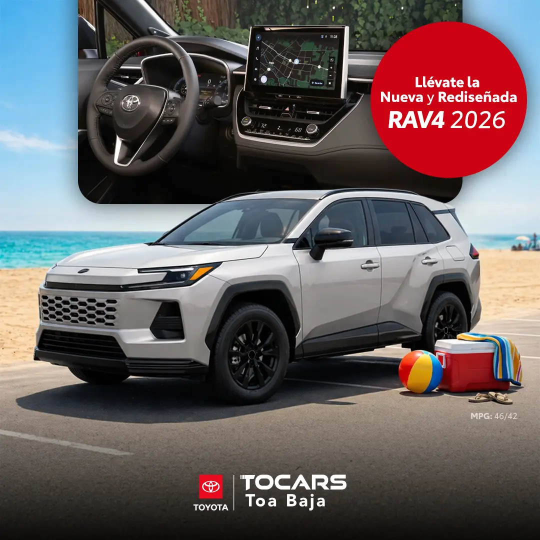 Nuestras ofertas